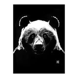 Black Panda (Print Only) thumbnail