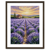 Visions of Provence