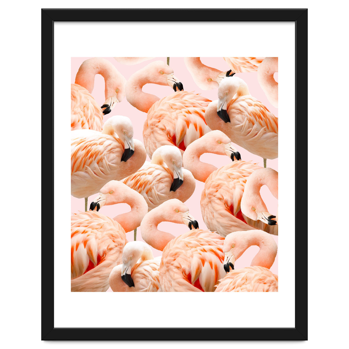 Flamingo Blush #society6 #decor #buyart #flamingoart