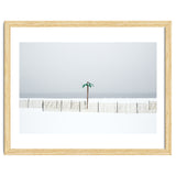 Fake palm tree in the winter snow beach thumbnail