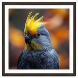 Close-up Portrait of a Yellow Cockatoo in the Wild. thumbnail