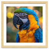 Blue And Yellow Macaw Parrot Close Up Detailed Shot thumbnail