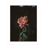 Romantic (Print Only) thumbnail