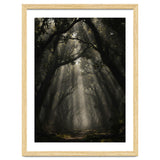 Enchanted Canopy: Mystical Forest Path thumbnail