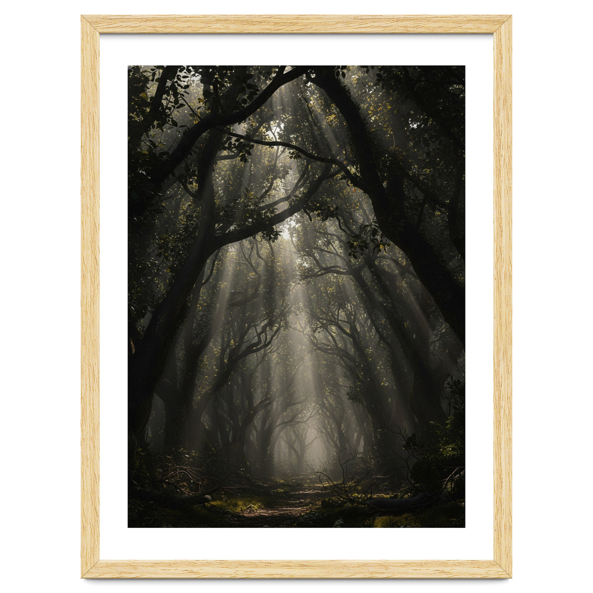 Enchanted Canopy: Mystical Forest Path