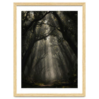 Enchanted Canopy: Mystical Forest Path