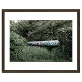 Graffiti pipe among the summer forest thumbnail