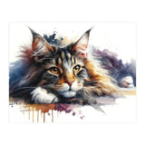 Maine Coon Resting Portrait (Print Only) thumbnail