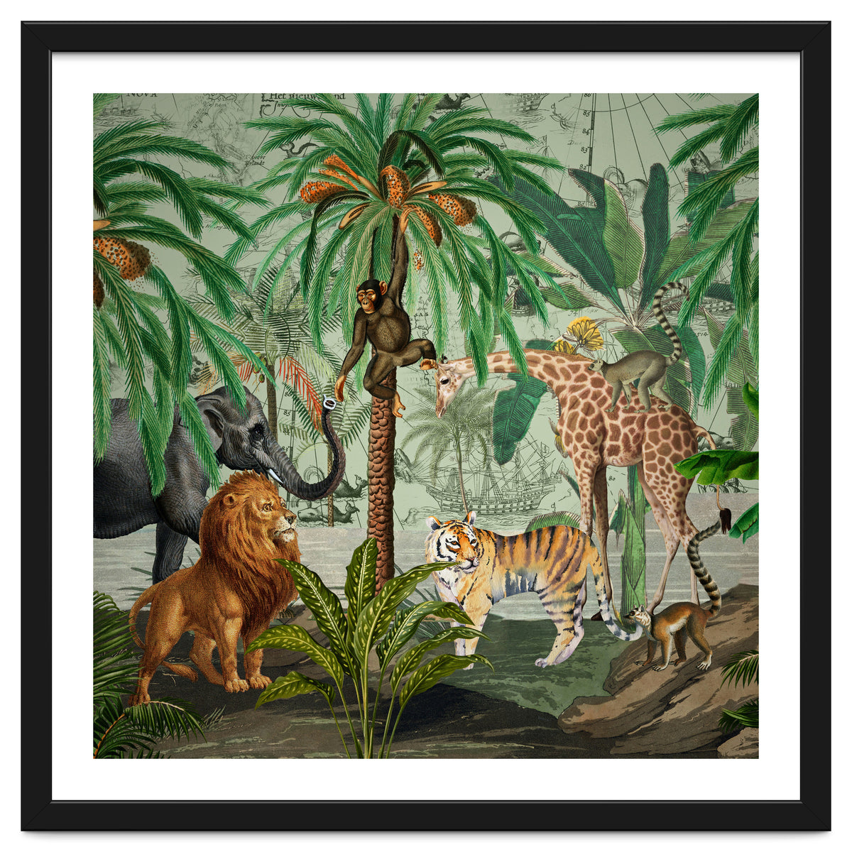 Vintage African Adventure