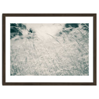 Walking Through Long Grass
