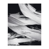 Flybynight  (Print Only) thumbnail