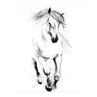 Runninh Ghorse In Water (Print Only)