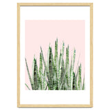 Botanical Balance thumbnail
