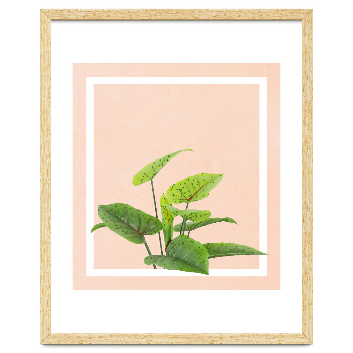 Botanical Art