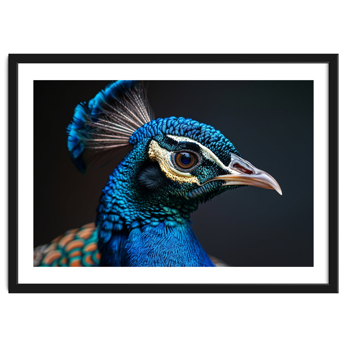 Close Up Peacock Head Blue Green Feather