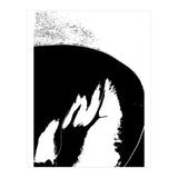 Black & White Study III (Print Only) thumbnail
