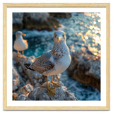 Seagull Standing On Rocks Near Water thumbnail