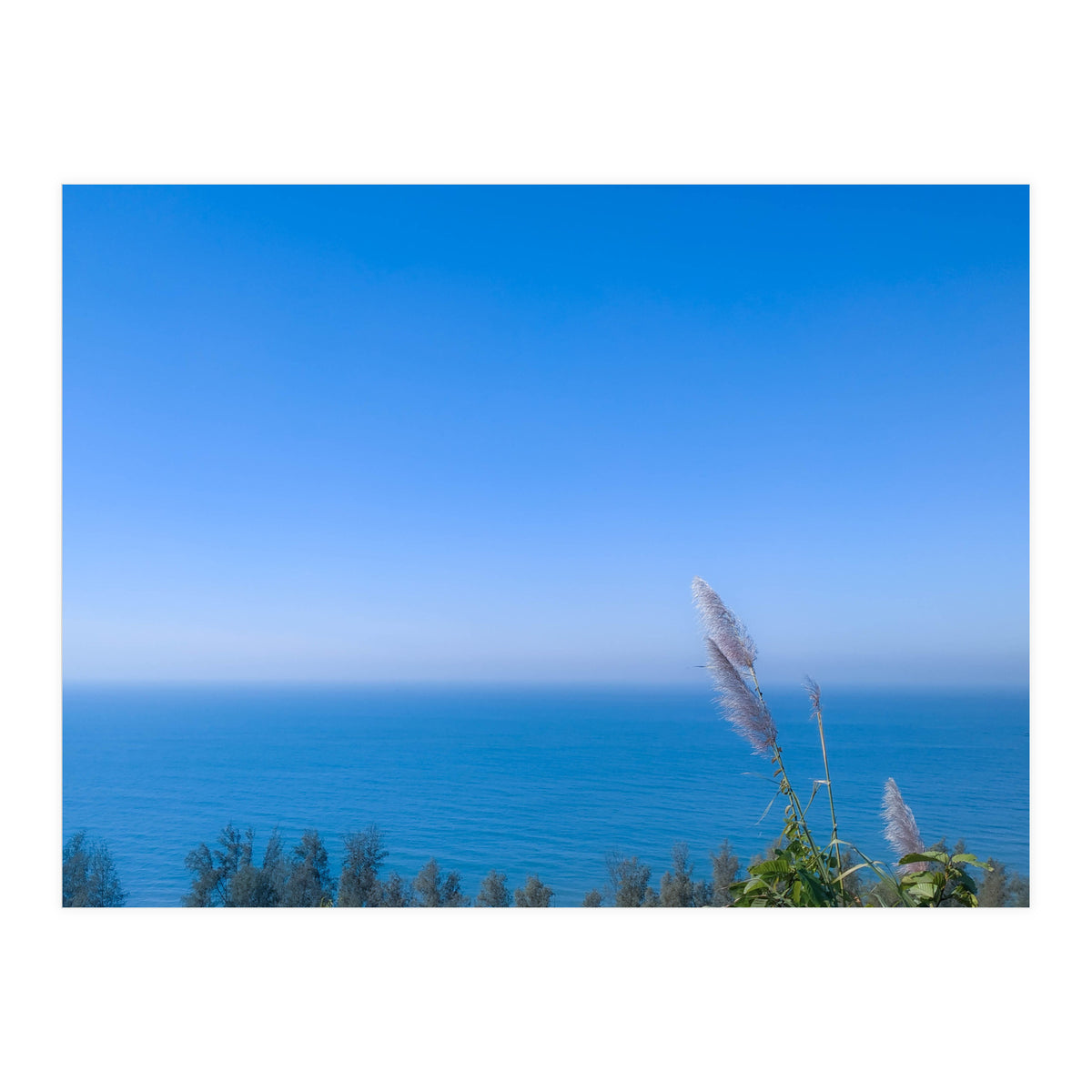 Blue (Print Only)