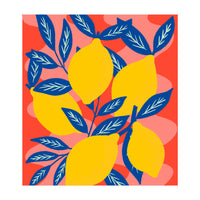 Colourful Lemons (Print Only)