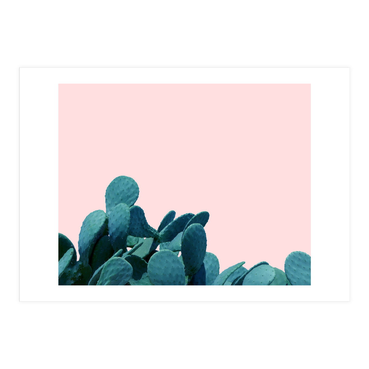 Kaktos (Print Only)