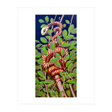 Eden (Print Only) thumbnail