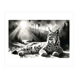 Lynx Resting In Sunlight (Print Only) thumbnail