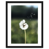Dandelion Wish Photography thumbnail