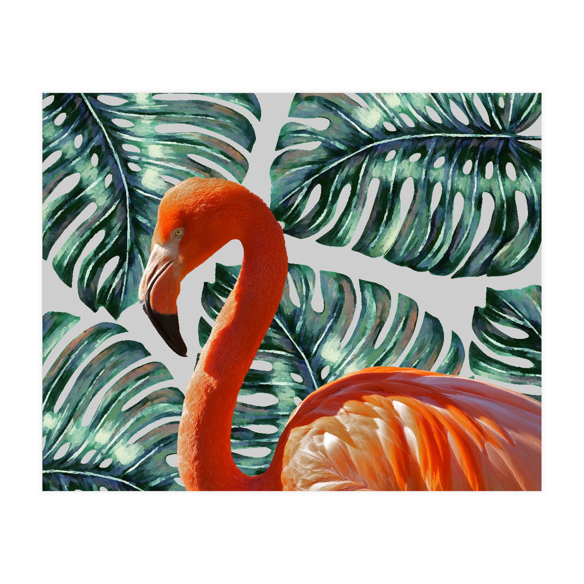 Flamingo Self Portrait (Print Only)