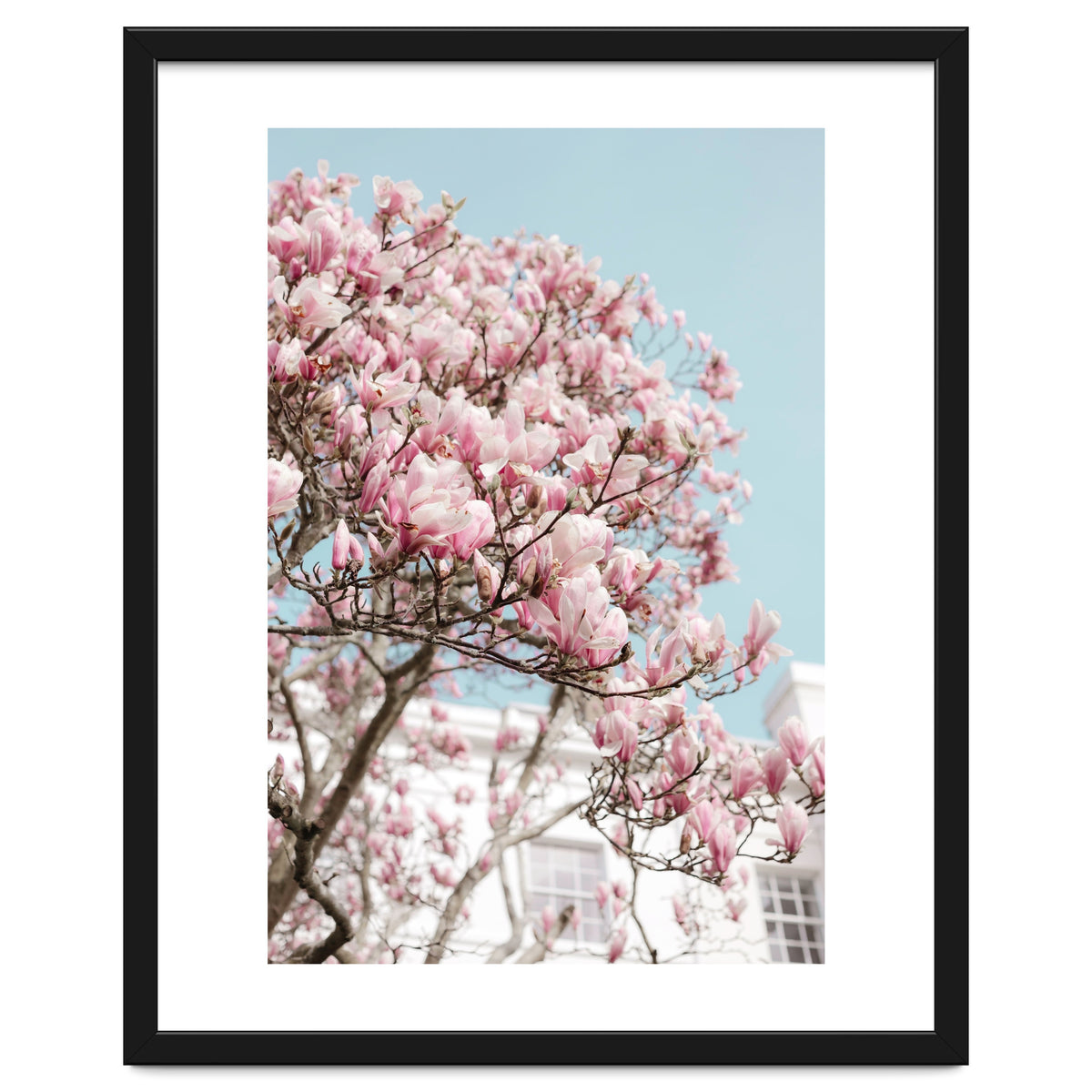 Spring Time