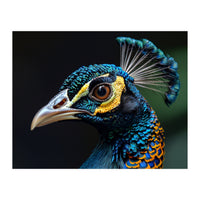 Close-up of a Peacock’s Head (Print Only)