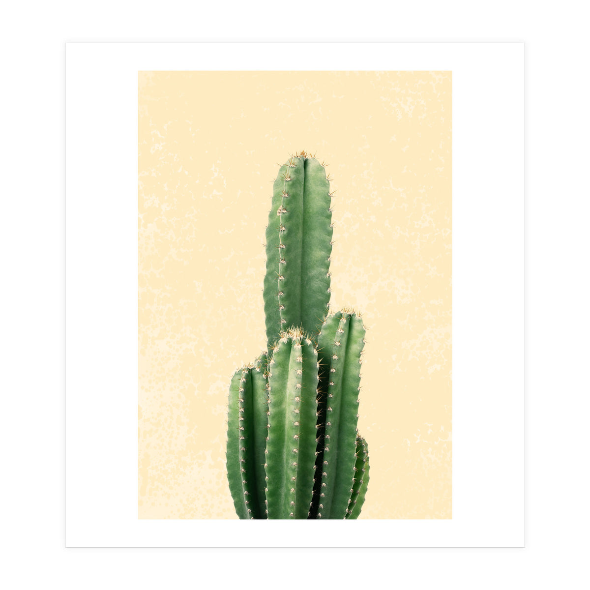 Tall Cactus, Minimal Desert Saguaro Art (Print Only)