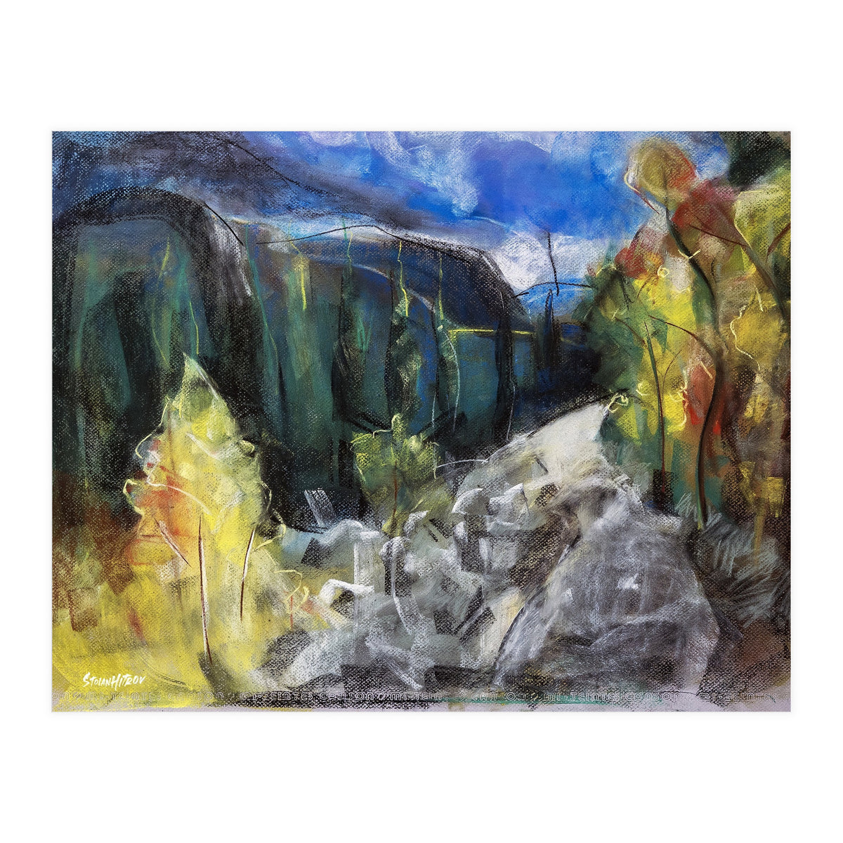 The Forest of Rila Mountain (Print Only)