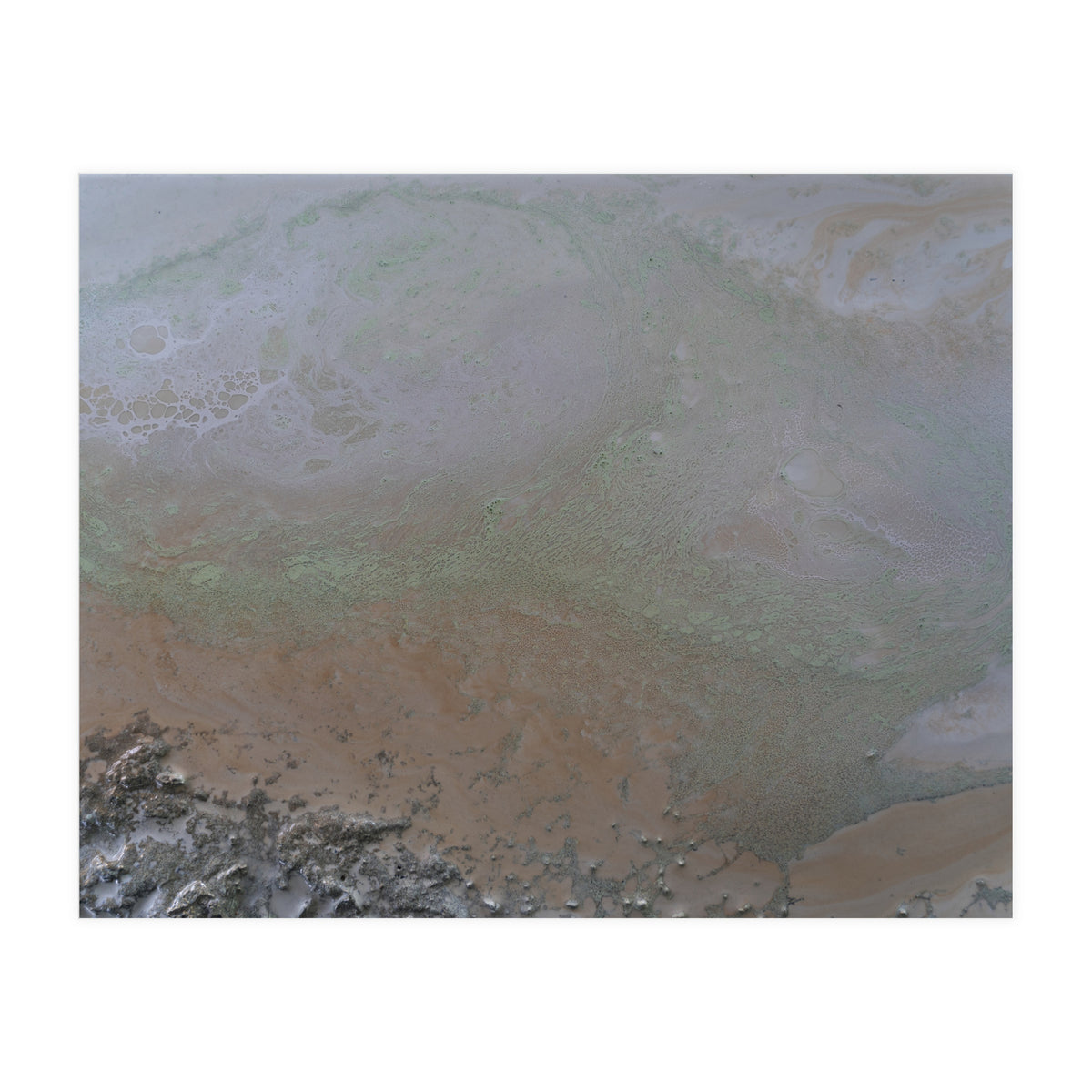 Illuminated (Print Only)