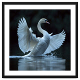 Majestic White Swan Spreading Wings On Water thumbnail