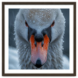 Close Up Of A Swan's Face With Water Droplets thumbnail