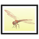Wings of Transformation thumbnail