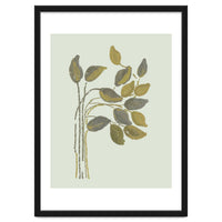 Olivia muted botanical oils