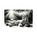 Lynx Resting In Sunlight (Print Only) thumbnail