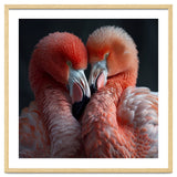 Two Flamingos Together Showing Affection thumbnail