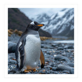 Gentoo Penguin Standing On A Rocky Shore (Print Only) thumbnail