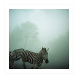 Silence of breath - 16 (Print Only) thumbnail