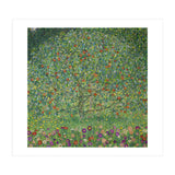 Apple Tree I, 1911 or 1912. Estates of Ferdinand and Adele Bloch-Bauer. (Print Only) thumbnail
