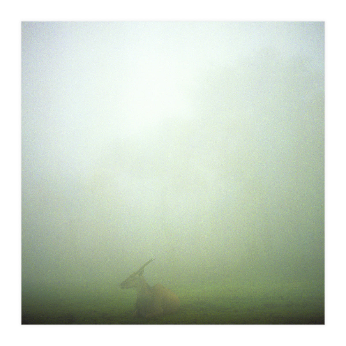 Silence of breath - 06 (Print Only)