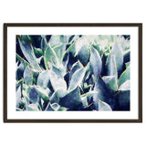 Cactus Garden thumbnail