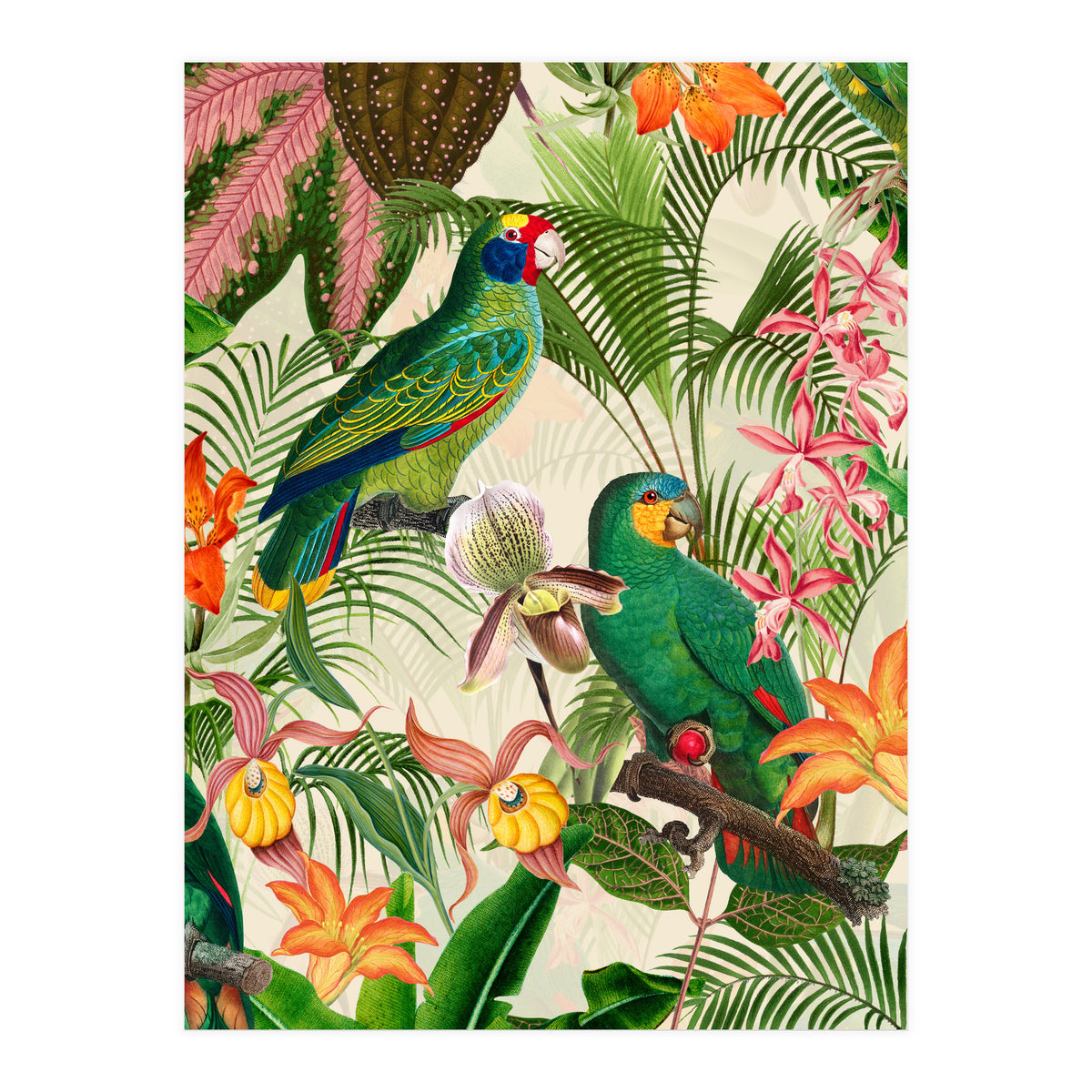 Parrots in tropical Jungle (Print Only)