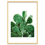 Velvet Cactus | Watercolor Botanical Plants | Minimal Boho Scandinavian Painting thumbnail