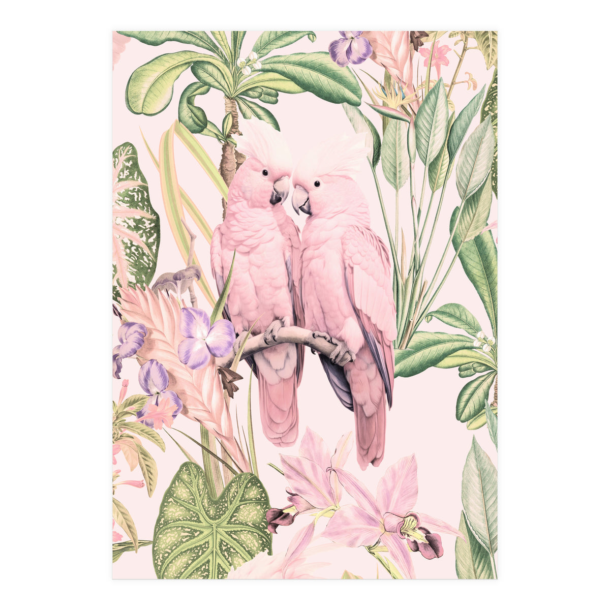 Pink Cockatoos in Love (Print Only)