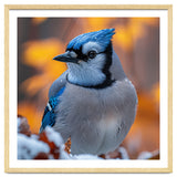 Blue Jay Bird In Winter Snowfall And Leaves thumbnail