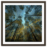 Enchanted Night Forest with Glowing Fireflies thumbnail