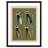 Striped Lemurs